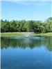 Memorial Park Pond