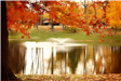 Memorial Park Pond in the Fall