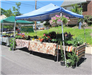 Booth Selling Plants and Homegrown Vegetables