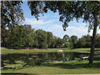 Memorial Park Pond