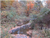 Holmesbrook Park Creek During Fall