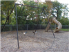 First Street Tot Lot Swings and Slide